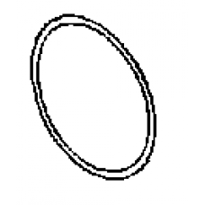 1005821-00   O-RING 19X1.5